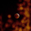 Eclipse vermelho