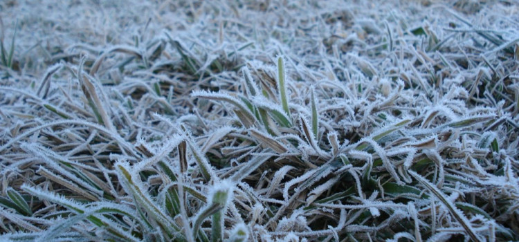 Previsão do tempo é de frio pro último final de semana do outono