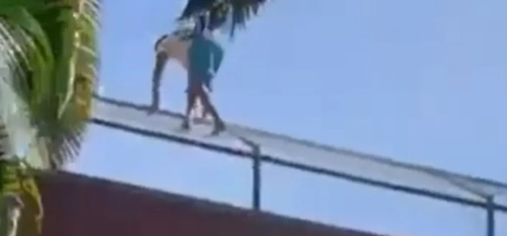 Homem morre ao invadir jaula de leoa