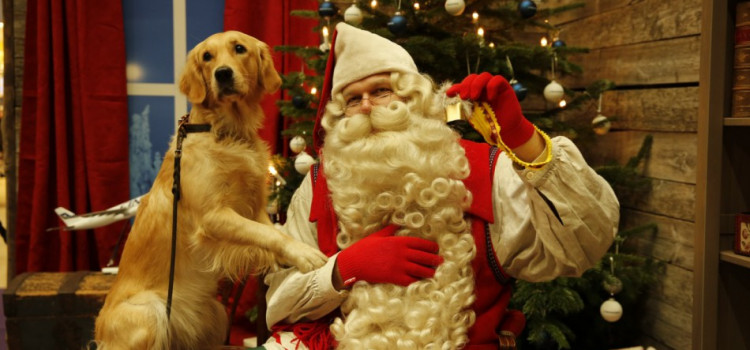 Papai Noel da Lapônia estará no Natal em Blumenau
