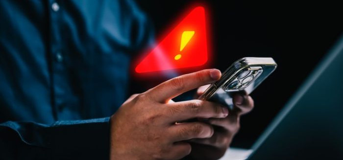 Saiba como identificar 5 sinais de alerta para não cair em golpes online