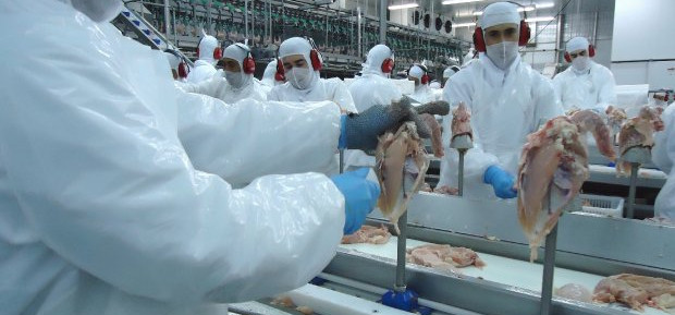SC reduz para 7% o ICMS para carnes de aves e suínos