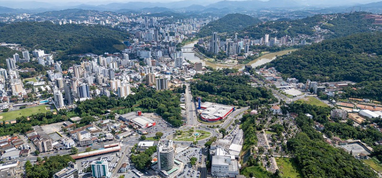 Blumenau inicia mapeamento de atropelamento de animais silvestres