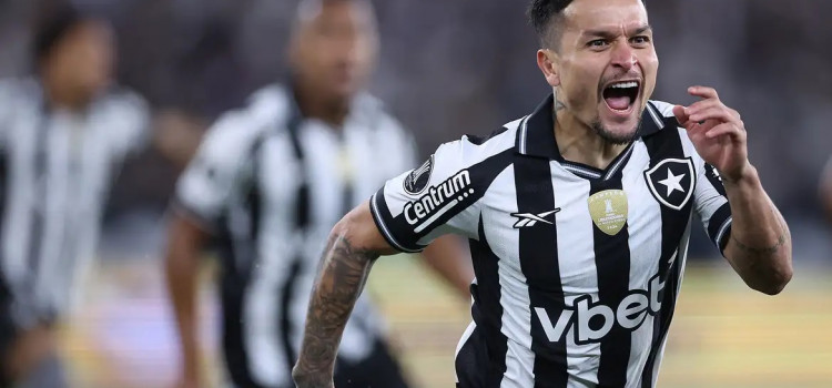 Do topo ao caos: a derrocada do Botafogo