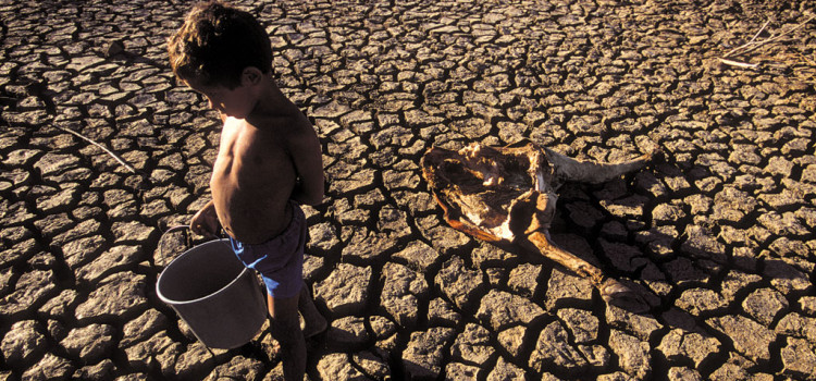 Fome Cresce no Brasil e atinge 10,3 milhões