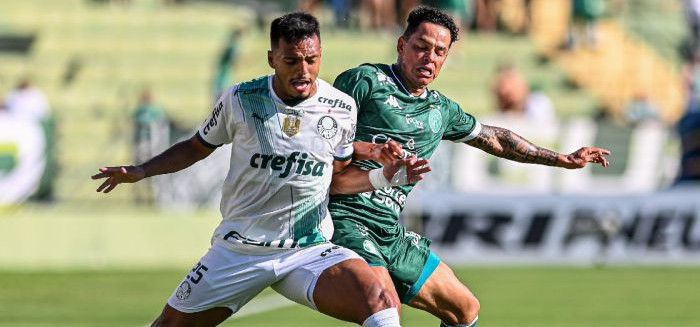 Palmeiras x Guarani: onde assistir ao vivo e tudo sobre o jogo em Barueri