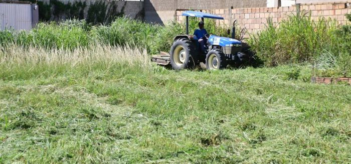 Câmara aprova novas regras para limpeza de terrenos e calçadas
