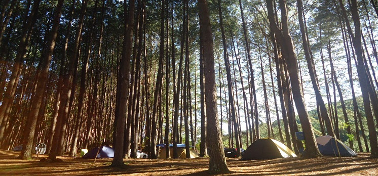 Cinco destinos de acampamento que valem a viagem