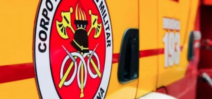 Cobra-coral mobiliza bombeiros dentro de imóvel