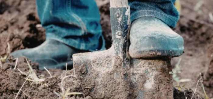 Presos de Blumenau começam serviços de manutenção em Gaspar