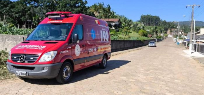 idoso morre com mais de 100 picadas de abelhas