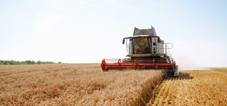 Crescimento econômico é impulsionado pelo agro no primeiro trimestre