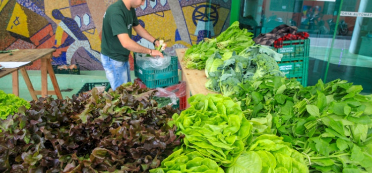 Governo de SC propõe normas para defesa sanitária vegetal