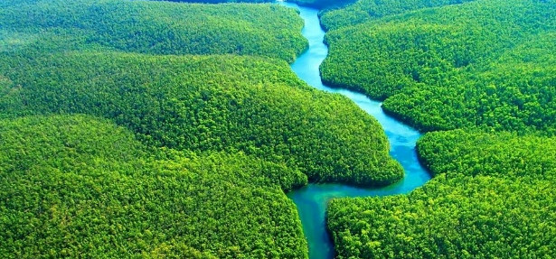 Estudo do WWF identifica pressões para reduzir áreas protegidas na Amazônia