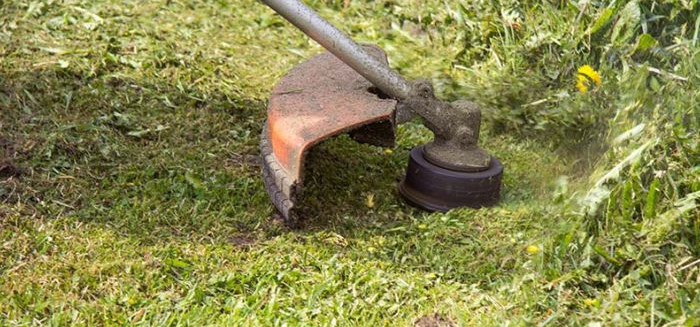 Câmara aprova novas regras para limpeza de terrenos e calçadas