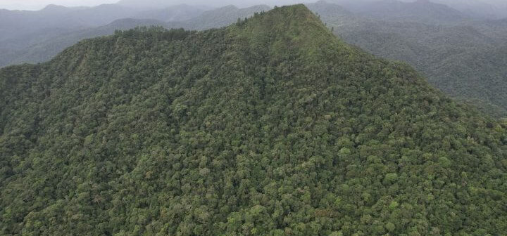 Além do Spitzkopf: conheça os morros mais altos de Blumenau