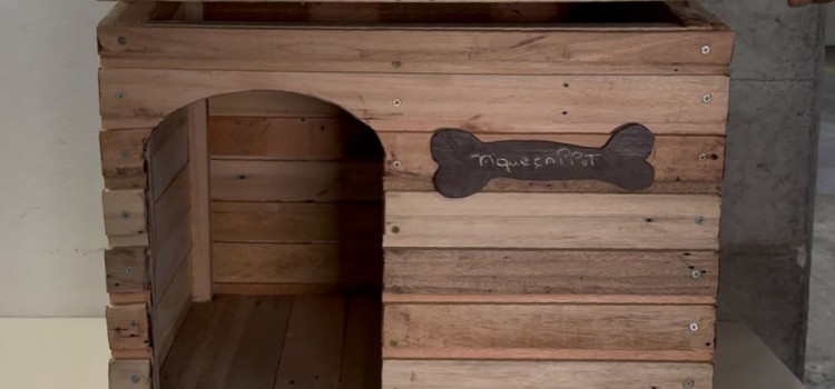 Detentos criam casinhas para cães comunitários em Blumenau