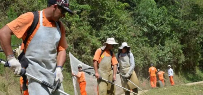 Prefeitura prepara contrato emergencial para evitar interrupção nas roçadas