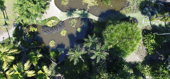 Sítio Burle Marx reflete o auge do paisagismo tropical