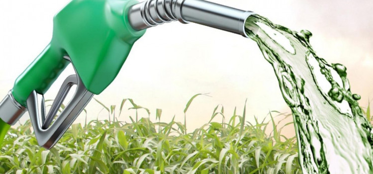Senadores aprovam venda direta de etanol das usinas para postos de combustível
