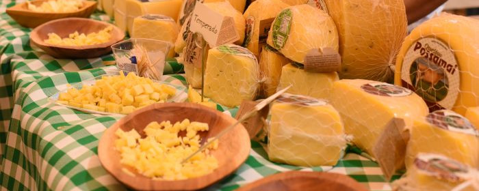 Blumenau vira capital do queijo artesanal com cursos e inscrições abertas