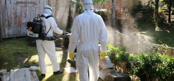 Blumenau decreta situação de emergência por conta da dengue