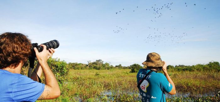 Blumenau lança guia inédito de observação de aves