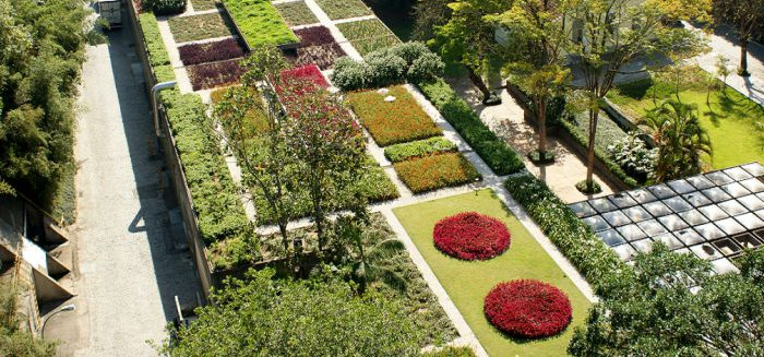 O jardim suspenso que floresce no telhado da Hering