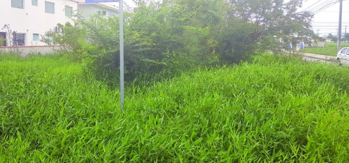 Onze empresas disputam nova licitação de manutenção urbana