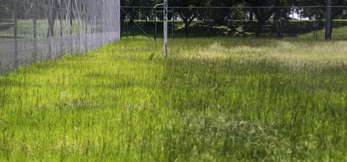 Moradores do Água Verde reclamam de mato alto e abandono em parquinho