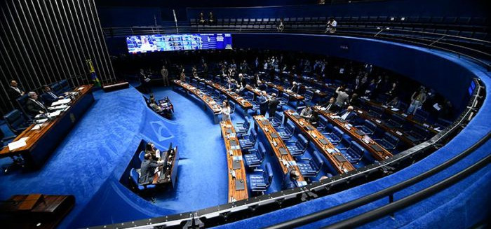 Brasileiros aumentam buscas sobre eleição para o Senado nas redes sociais