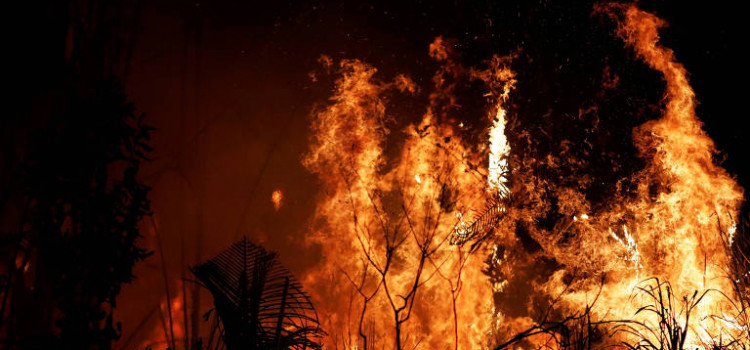 Incêndios florestais afetam turismo no Pantanal