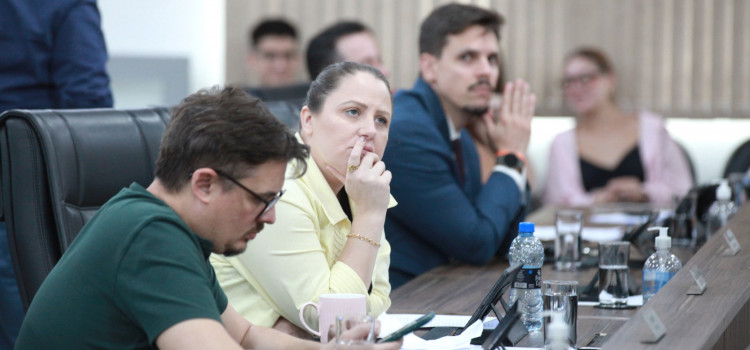 Câmara aprova programa de conscientização sobre fogos de baixo ruído