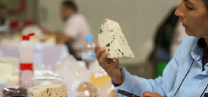 Concurso nacional de queijos abre inscrições para edição 2026