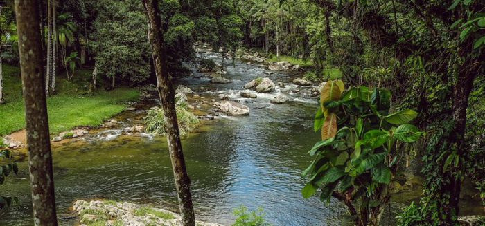 Blumenau lança plataforma para monitorar qualidade da água de rios e ribeirões