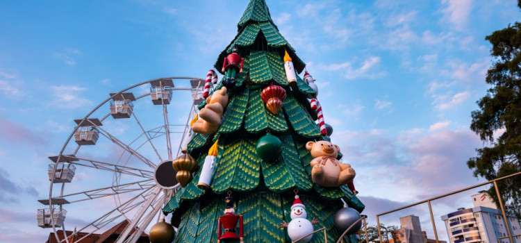 Programação de Natal para os próximos dias