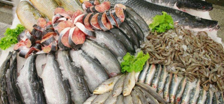 Vigilância Sanitária divulga orientações para o consumo de pescados