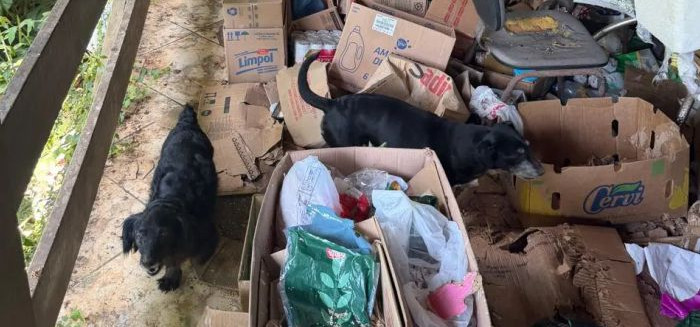 Homem é preso no Progresso por manter mais de 35 animais em situação insalubre