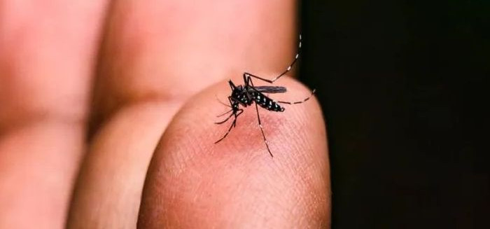 Prefeitura confirma novo caso de dengue
