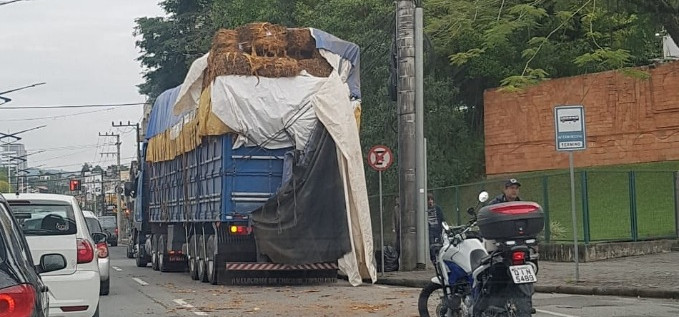 Caminhão esbarra na passarela da Furb e derrama carga