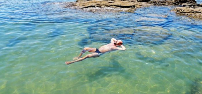 Praia de águas cristalinas em SC permite nadar com peixes