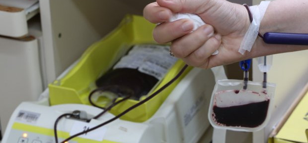 Hemosc reforça pedido de doação de sangue na alta temporada de Verão