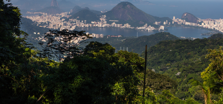 Rio, São Paulo e Foz do Iguaçu lideram escolhas