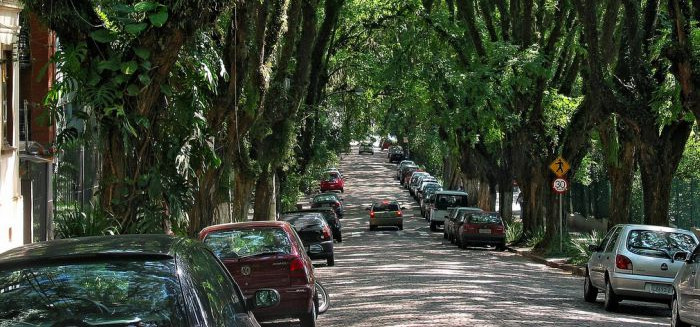 Conheça a 'rua mais bonita do mundo' que atrai blumenauenses no Sul