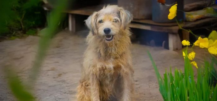 Após 11 anos de espera, Sultão deixa o Cepread para sempre