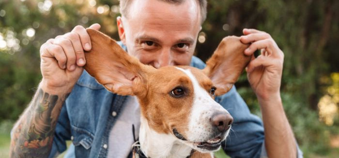 Piada pronta: TJSC nega pensão alimentícia para 'mãe' de pets