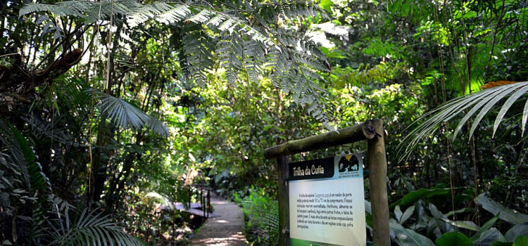 Caminhada no Parque São Francisco terá presença do Instituto Caeté-Açu