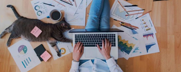 Trabalho remoto retém talentos no interior e aquece a economia local