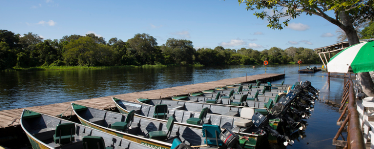 Temporada de pesca esportiva movimenta Economia