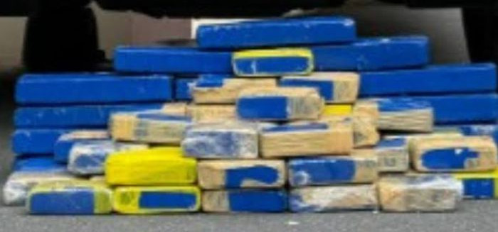 Cães da PM encontram mais de 31 kg de maconha na Itoupavazinha